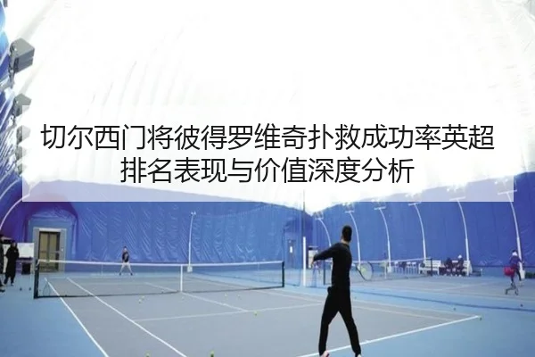 切尔西门将彼得罗维奇扑救成功率英超排名表现与价值深度分析